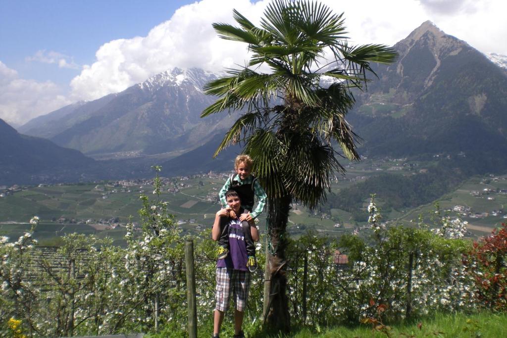 Krebishof Agriturismo 思科纳 外观 照片