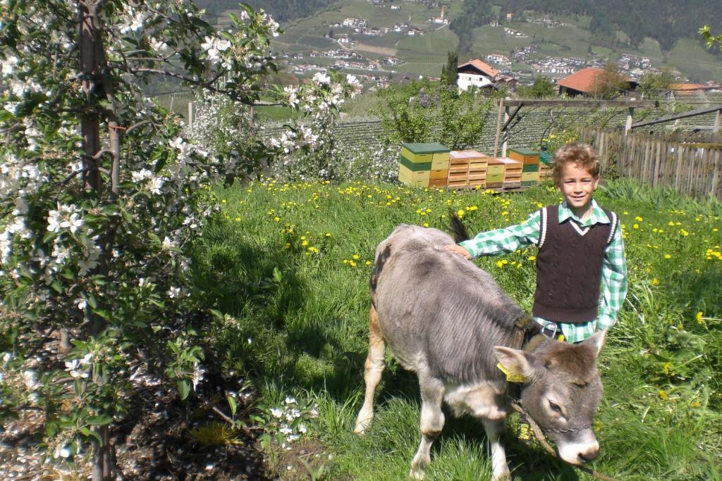 Krebishof Agriturismo 思科纳 外观 照片